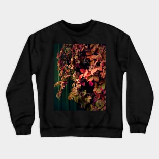 Nature plants photography Crewneck Sweatshirt